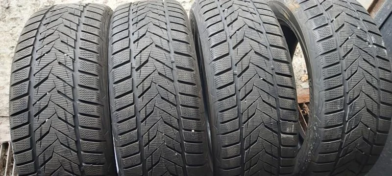 Гуми Зимни 225/55R18, снимка 1 - Гуми и джанти - 30924529