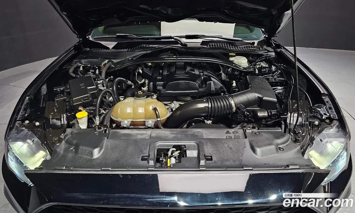 Ford Mustang !!!SPECIAL!!!, снимка 4 - Автомобили и джипове - 54869316