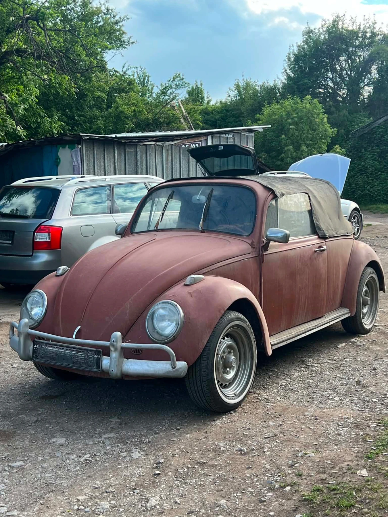 VW Beetle 1300