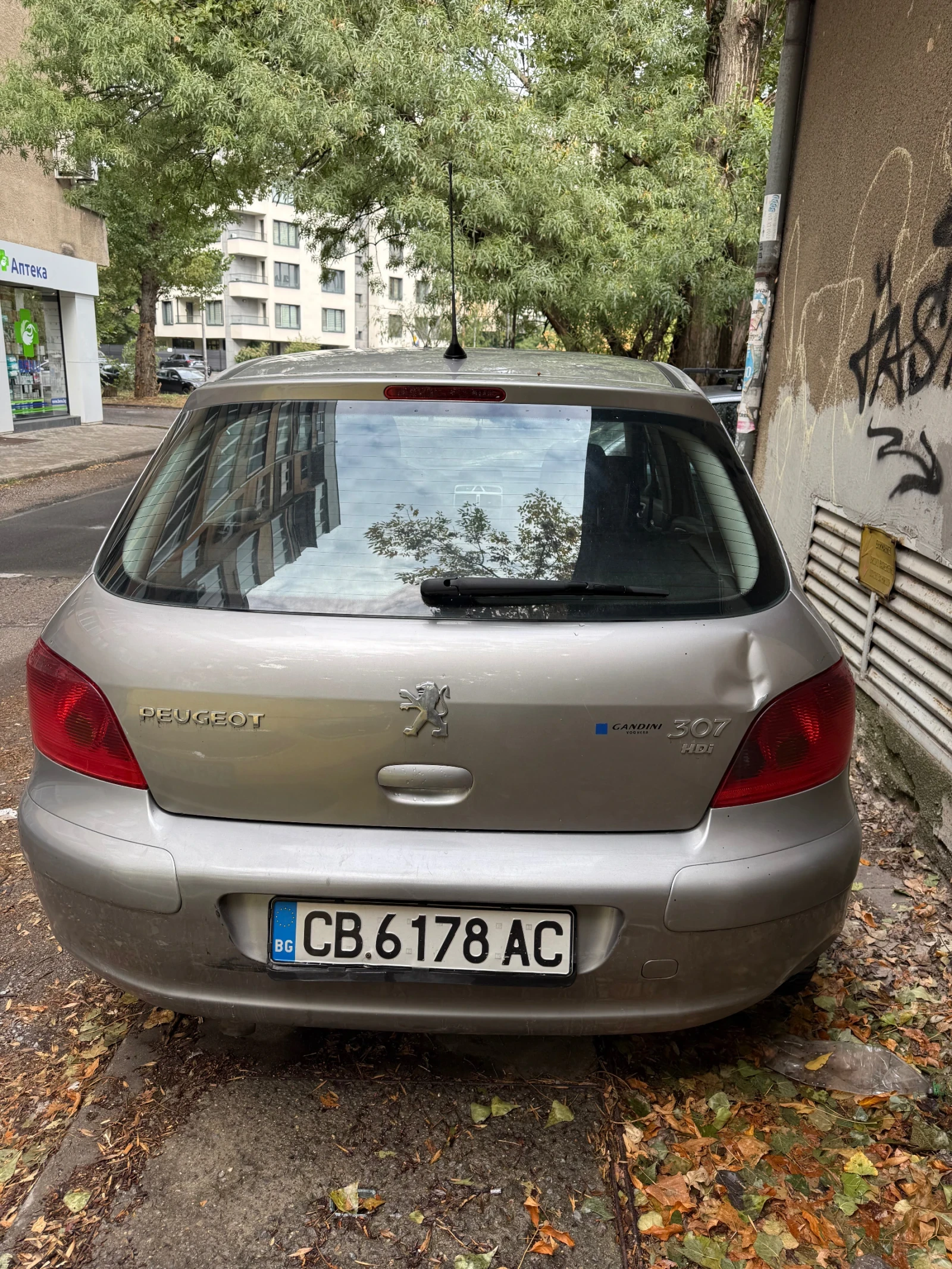 Peugeot 307, снимка 2 - Автомобили и джипове - 56231233