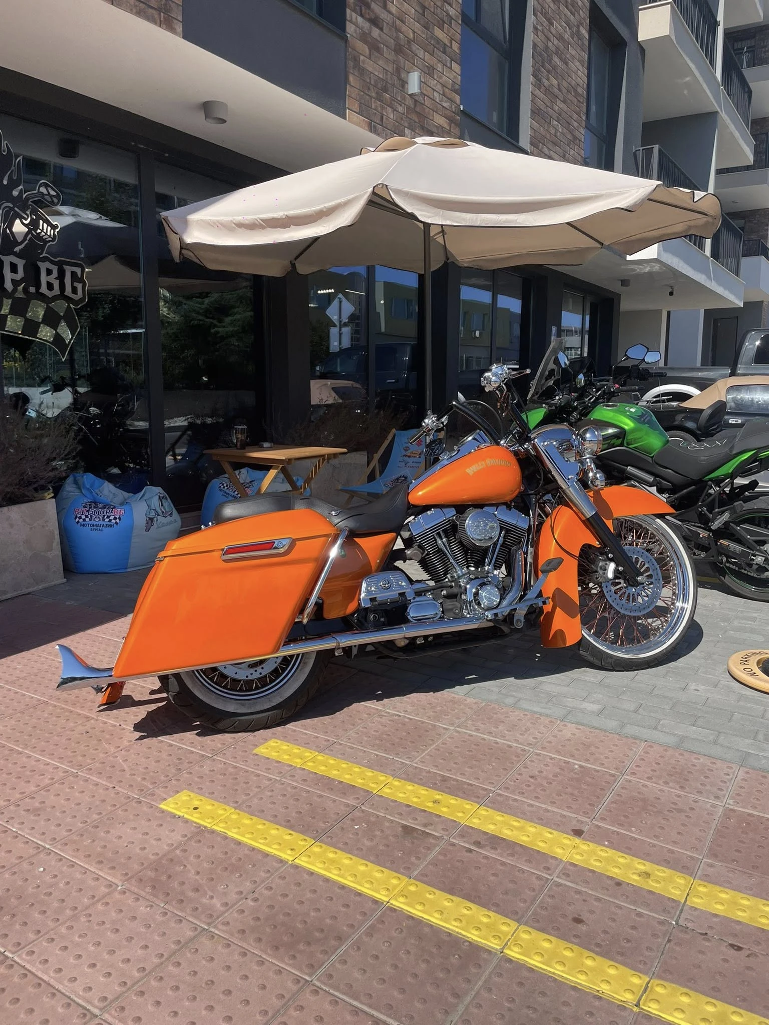 Harley-Davidson Custom Chicano - изображение 10