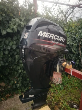       Mercury Efi 40 