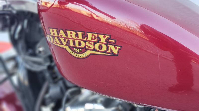 Harley-Davidson Sportster SPORTSTER XL883 LOW, снимка 5 - Мотоциклети и мототехника - 45200750