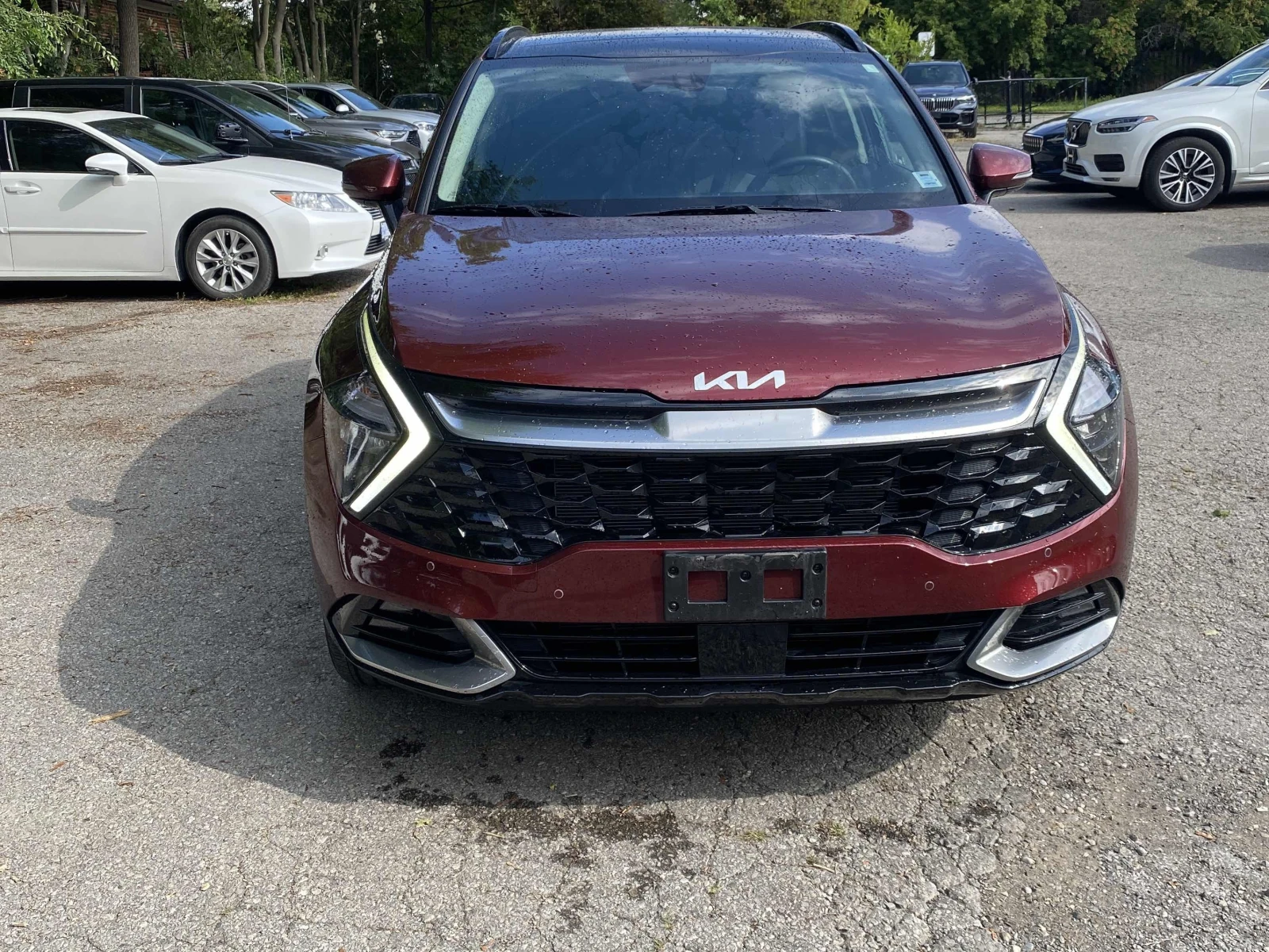 Kia Sportage, снимка 6 - Автомобили и джипове - 55690379