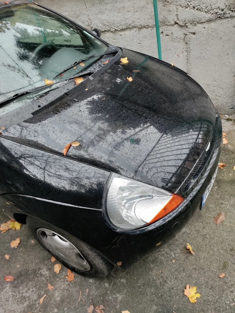 Ford Ka, снимка 2 - Автомобили и джипове - 47978517