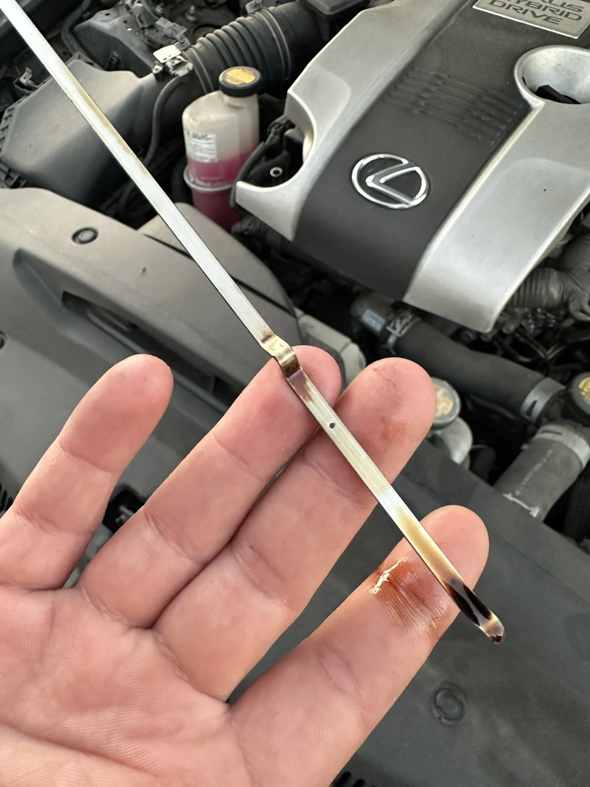 Lexus IS 300 IS300H F-Sport | Mobile.bg   15