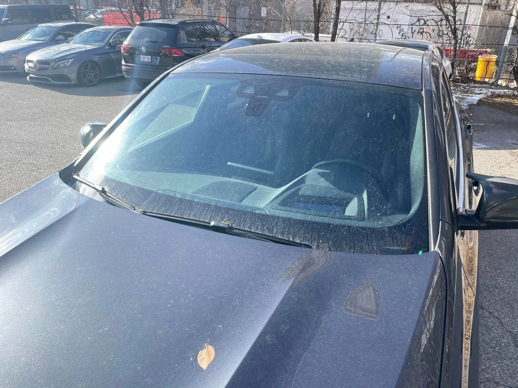 BMW X4 * xDrive30i * CARFAX * ЦЕНА ДО БГ - изображение 7