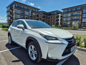     Lexus NX 300h