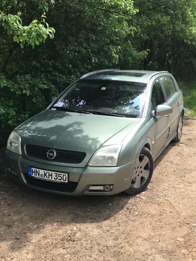 Opel Signum Дизел, снимка 1 - Автомобили и джипове - 45733735