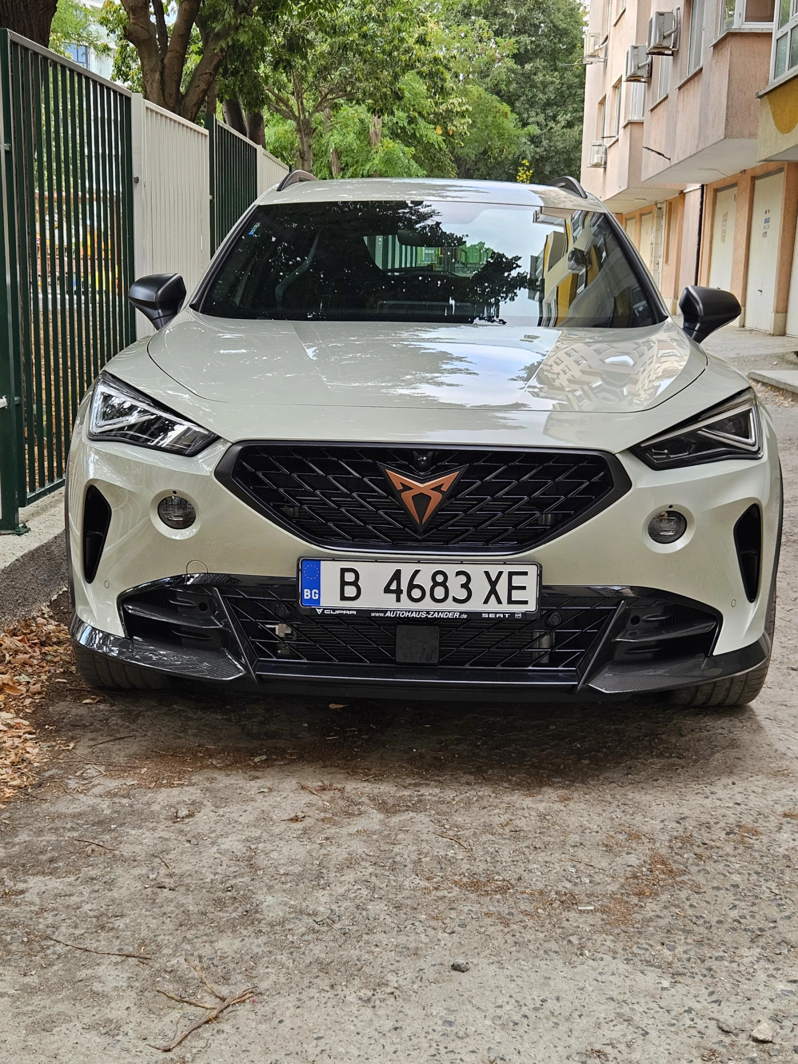 Cupra Formentor VZ5 2.5 TAIGA GRAY 425/999