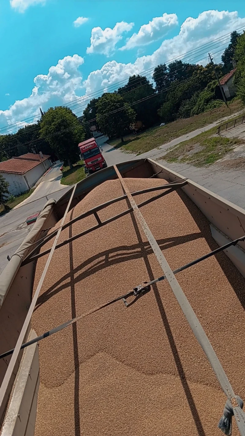 Scania 124, снимка 13 - Камиони - 52729738