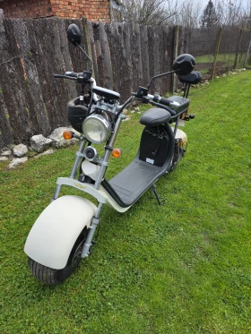 Qingqi Variant Electric 