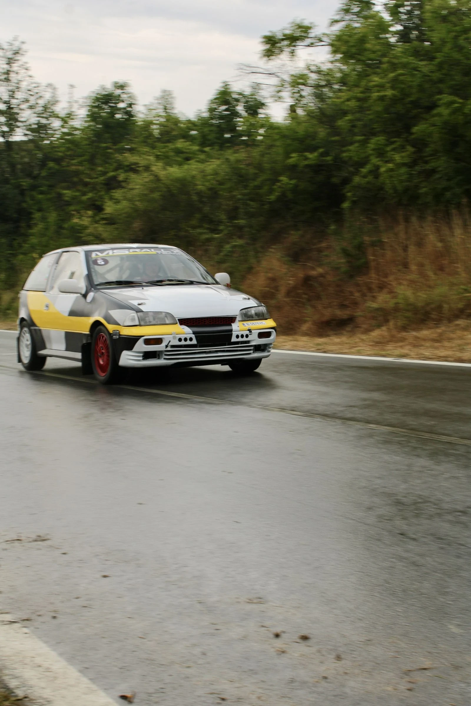 Suzuki Swift GTI RALLY - изображение 8
