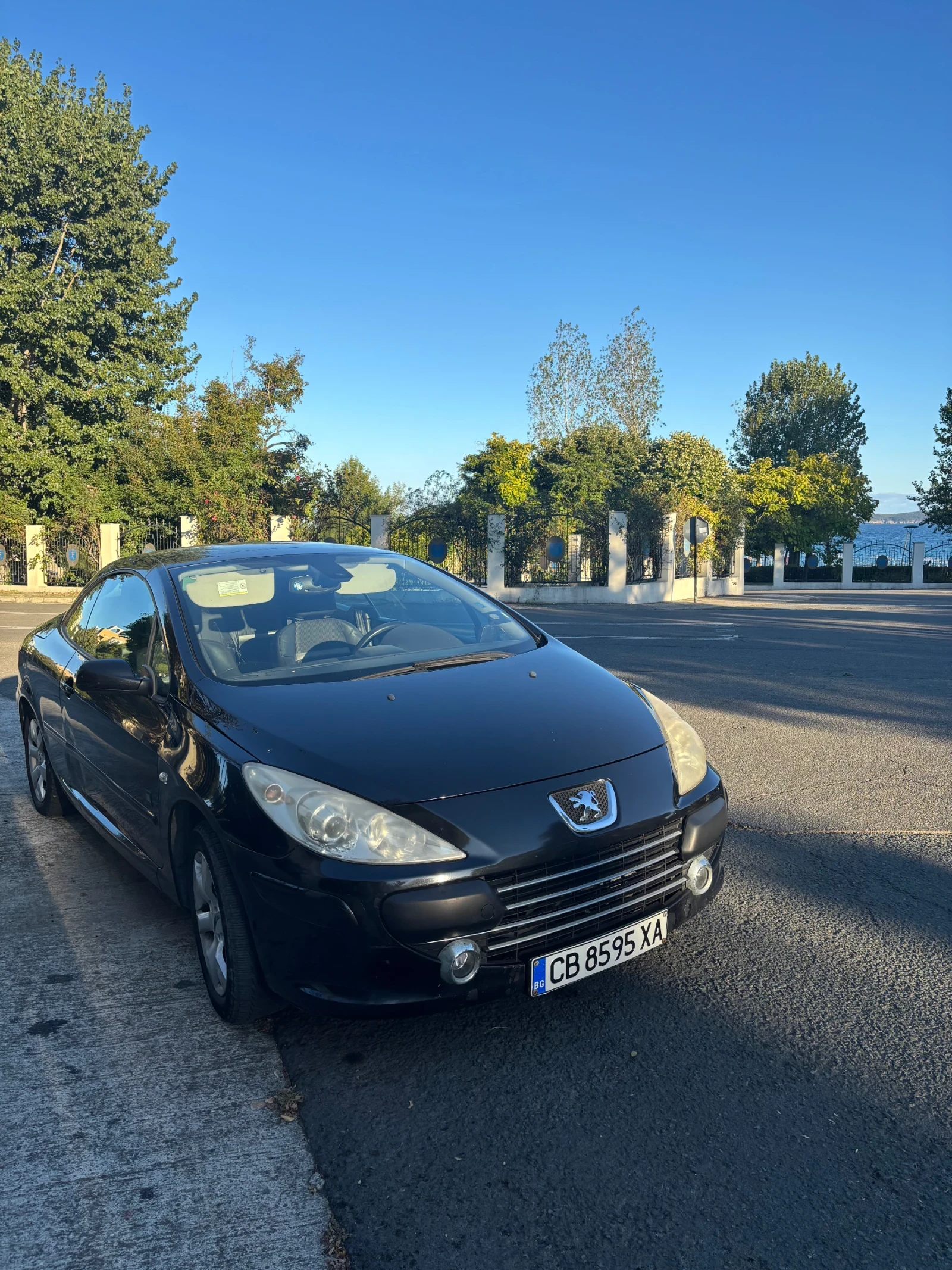 Peugeot 307 Кабриолет, снимка 1