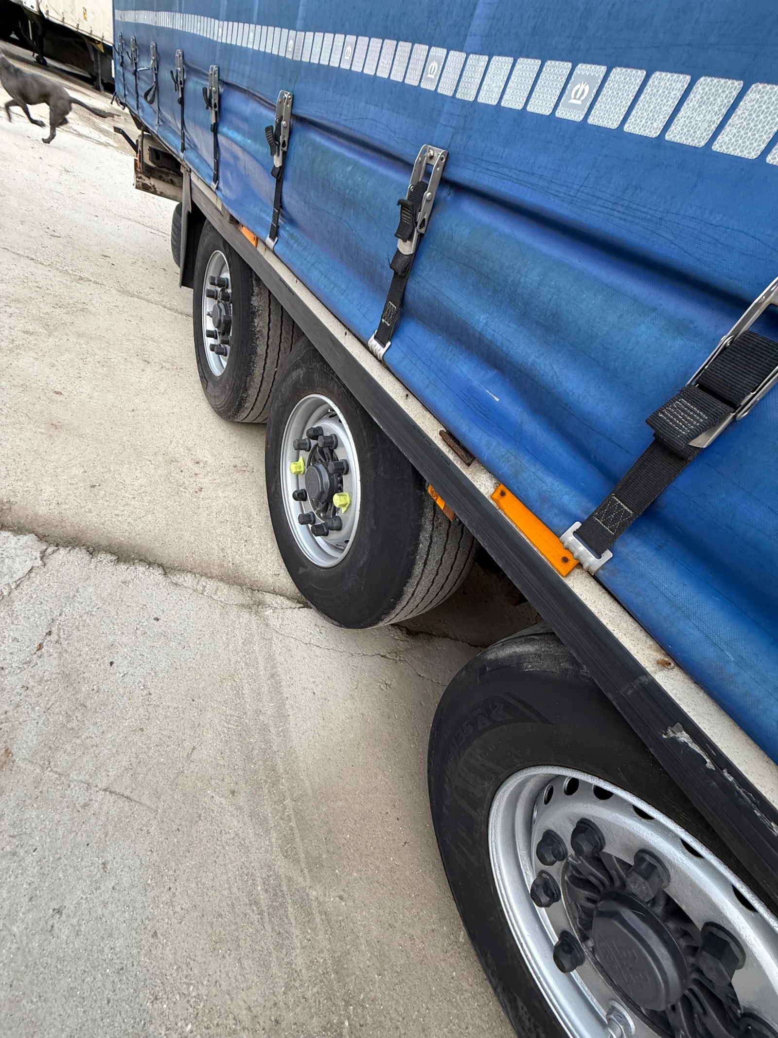 ����������� Krone �������� ����� | Mobile.bg � ����������� 8