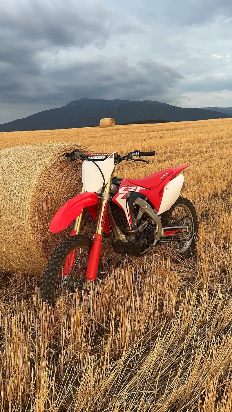 Honda Crf, снимка 7 - Мотоциклети и мототехника - 51759772
