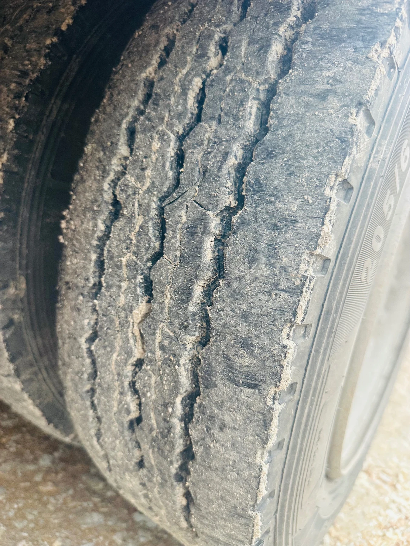 ����������� EsGe | Mobile.bg � ����������� 5