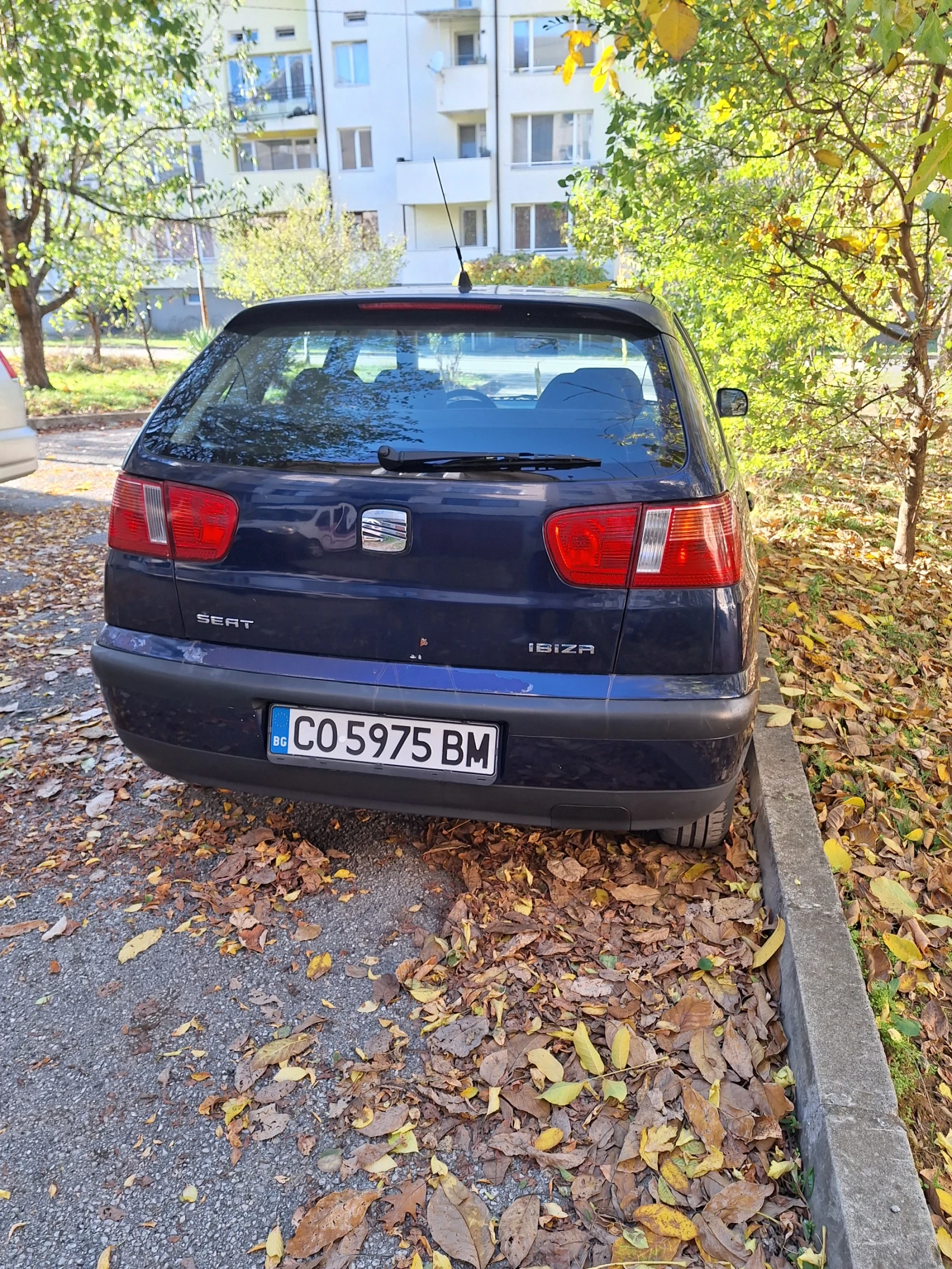 Seat Ibiza  - изображение 2