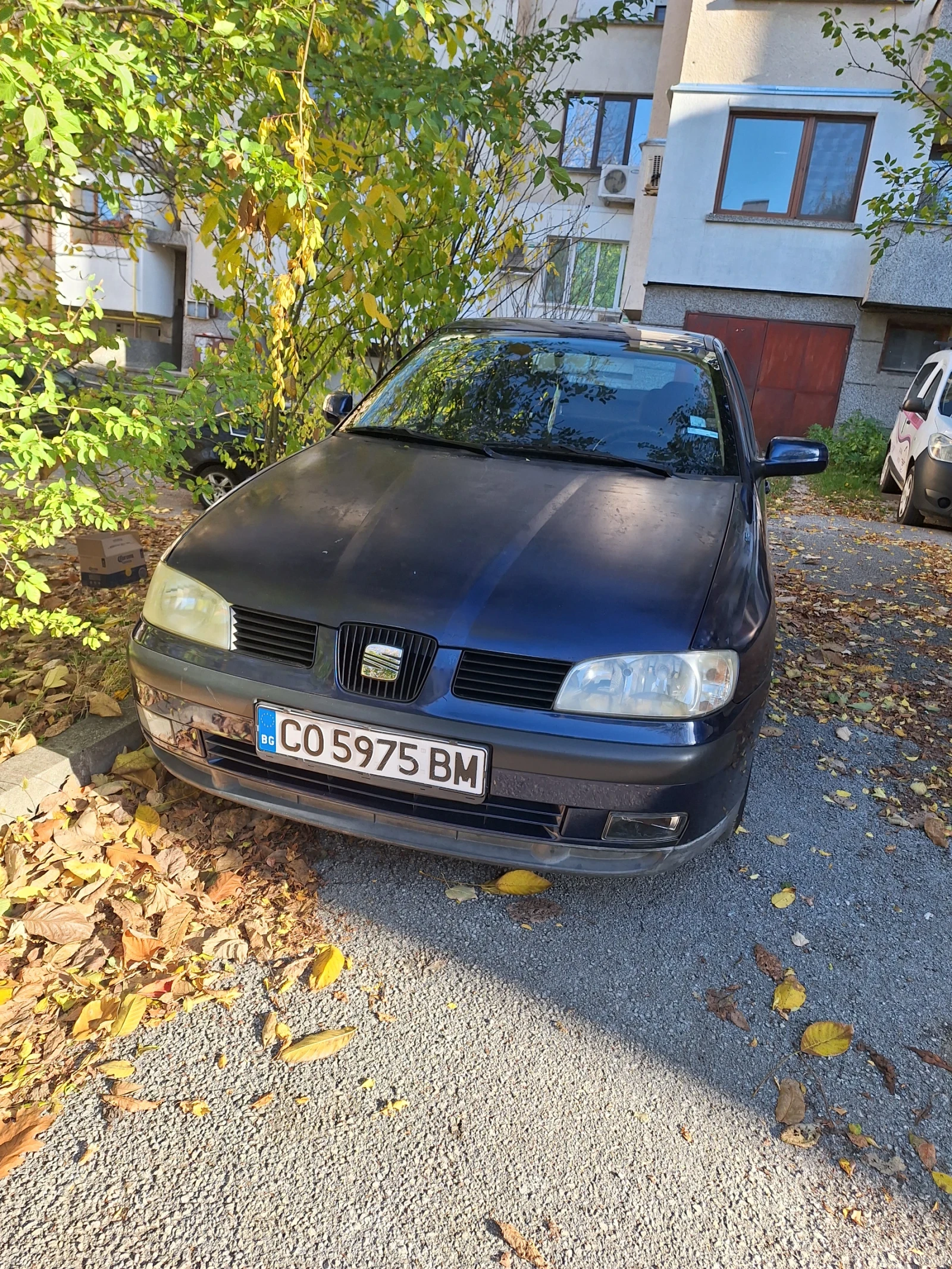 Seat Ibiza | Mobile.bg   1