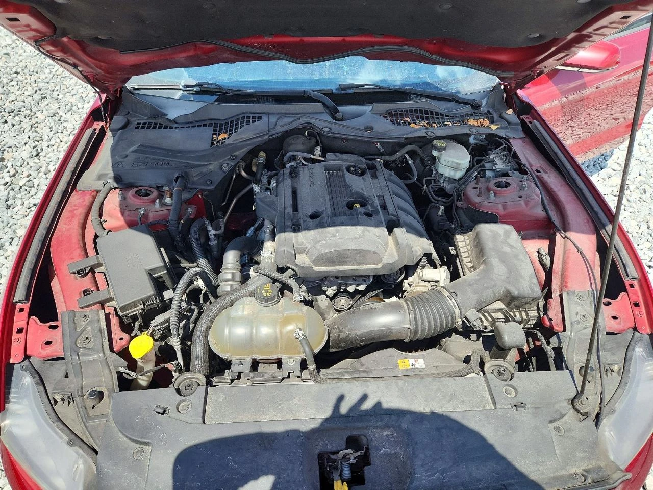 Ford Mustang FASTBACK| ECOBOOST| ������ | Mobile.bg � ����������� 11