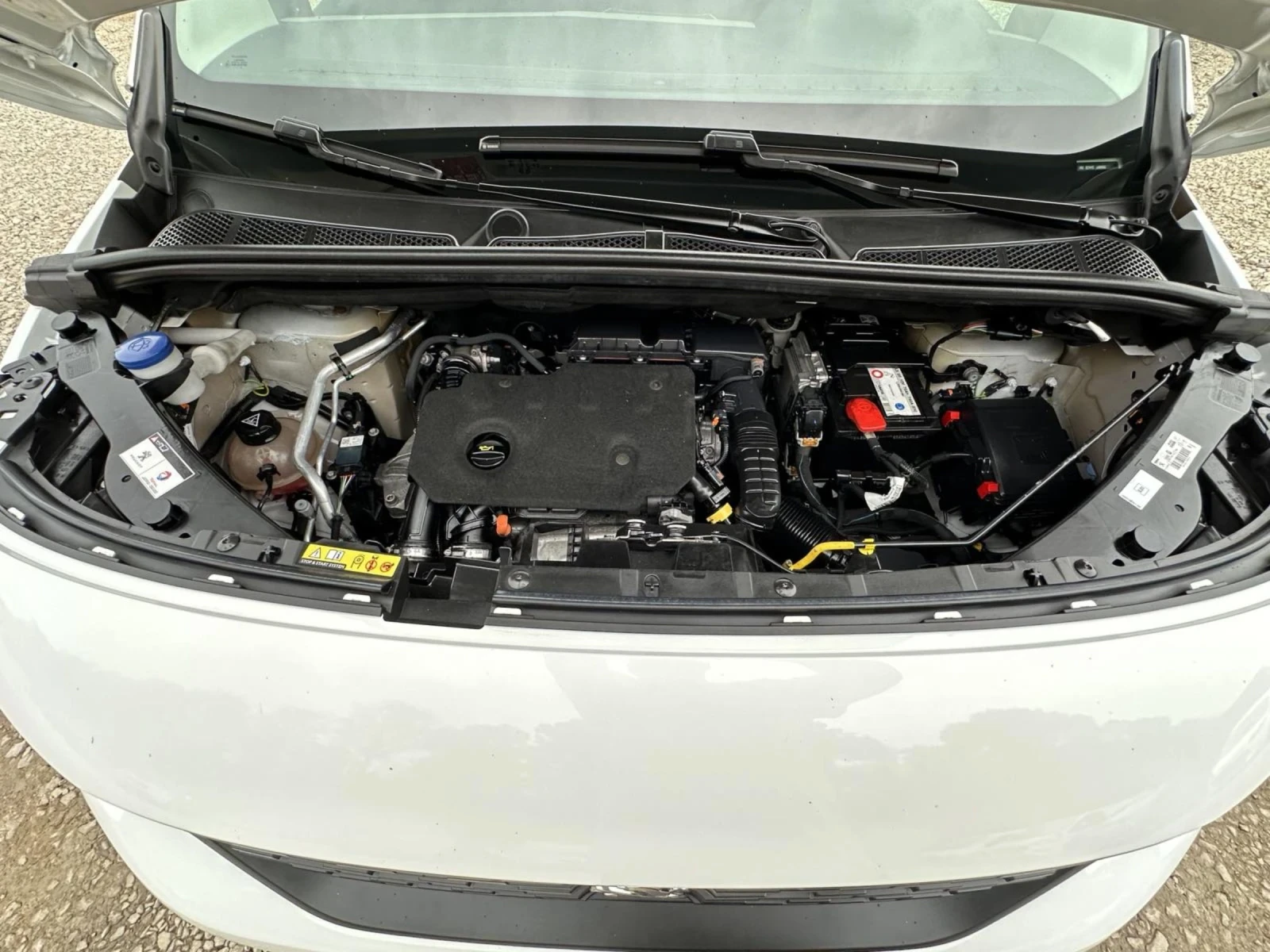 Peugeot Rifter 1.5HDI* TOP* 10.03.2019* 181900km | Mobile.bg   17