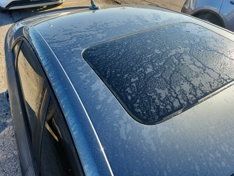 Audi A4 * PROGRESSIV * CARFAX * ЦЕНА ДО БЪЛГАРИЯ, снимка 5 - Автомобили и джипове - 53078465