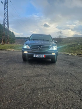 Mercedes-Benz ML 270, снимка 1