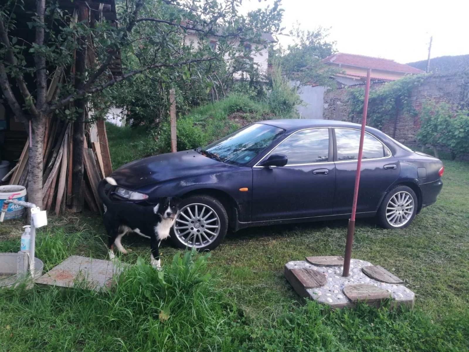 Mazda Xedos 6   | Mobile.bg   1