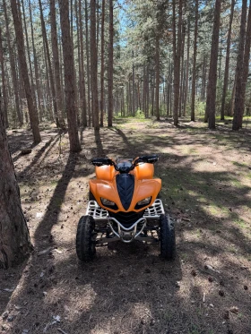 Kawasaki Kfx, снимка 3