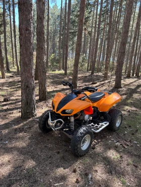 Kawasaki Kfx, снимка 1