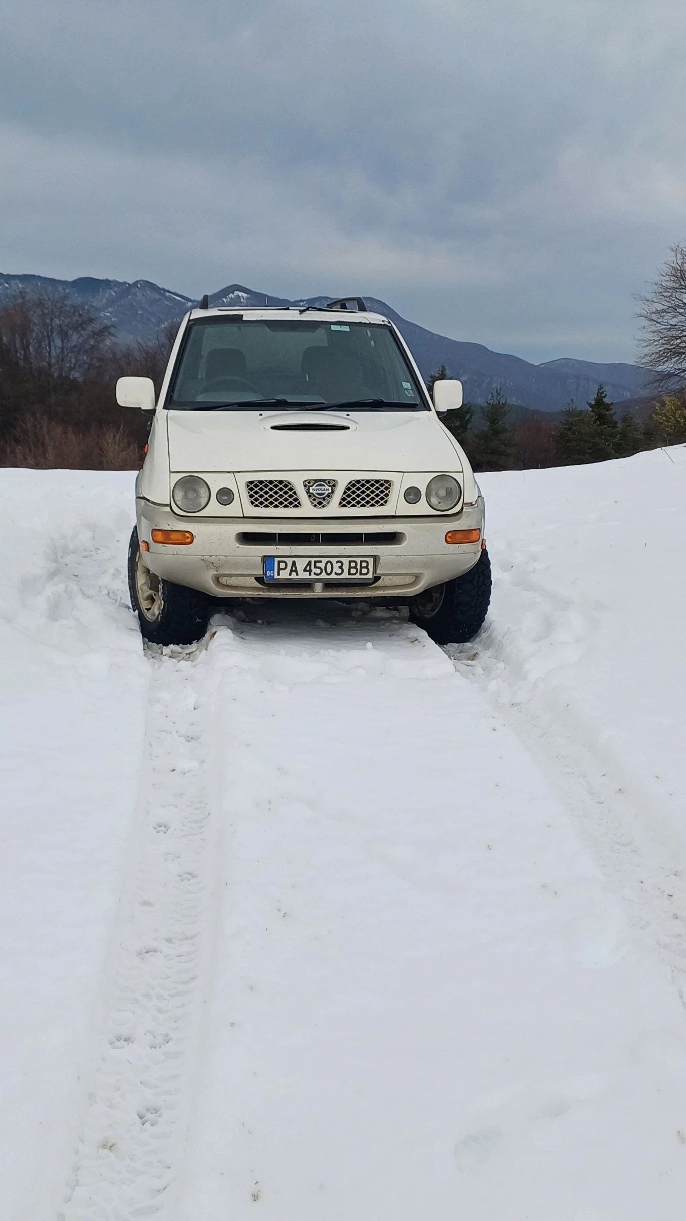 Nissan Terrano  - изображение 5