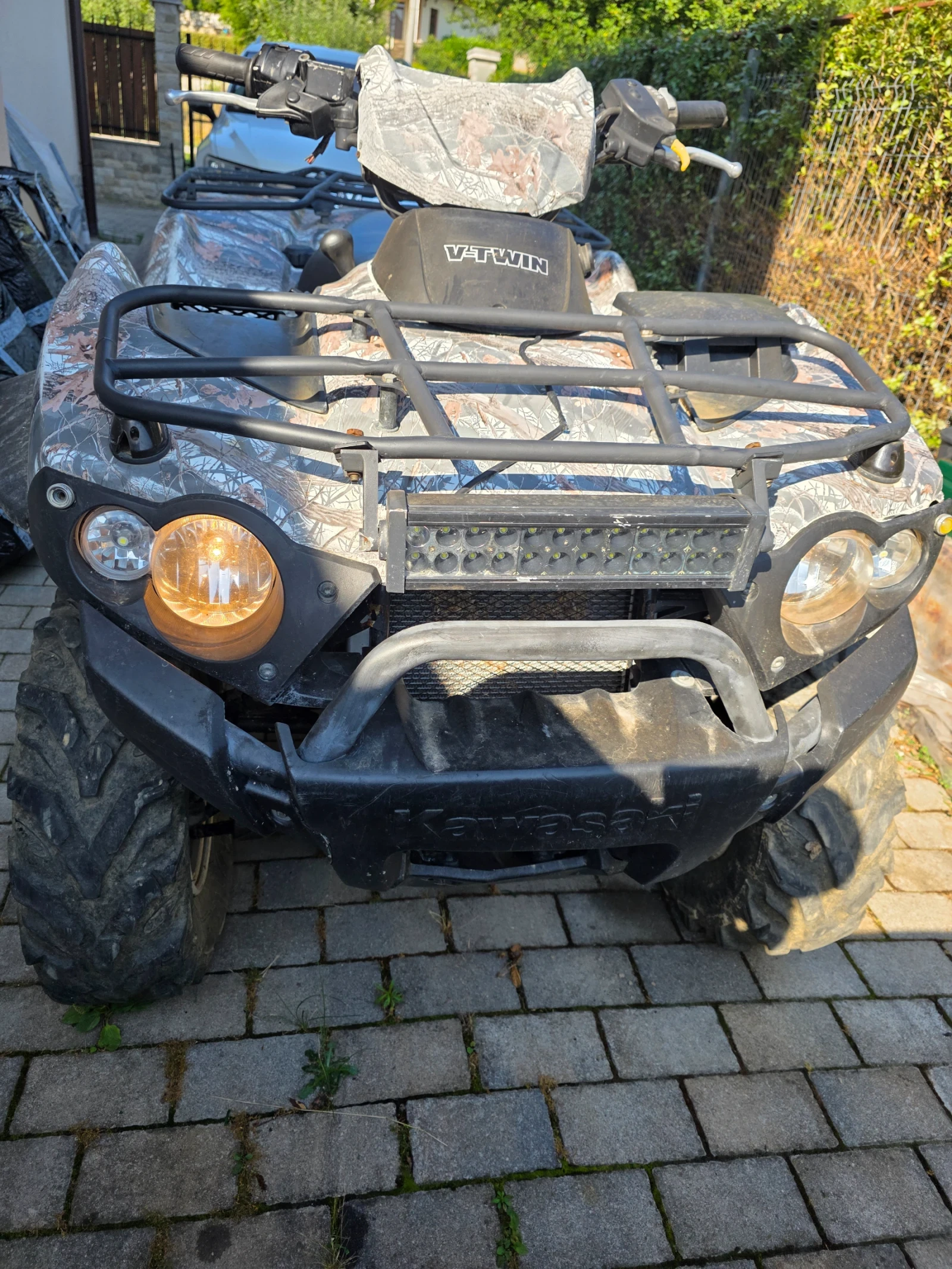 Kawasaki Brute Force 750 - изображение 5