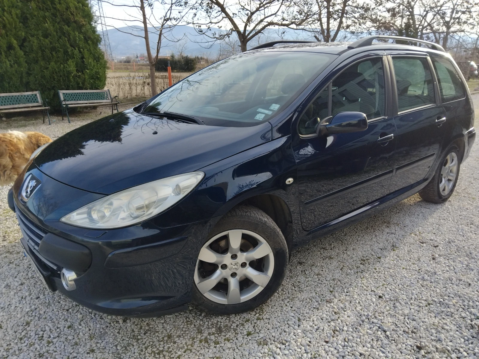Peugeot 307 1.6HDI//�����//FEIS | Mobile.bg � ����������� 9