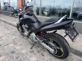 Honda Hornet 600 | Mobile.bg    6