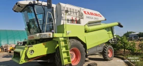   Claas
