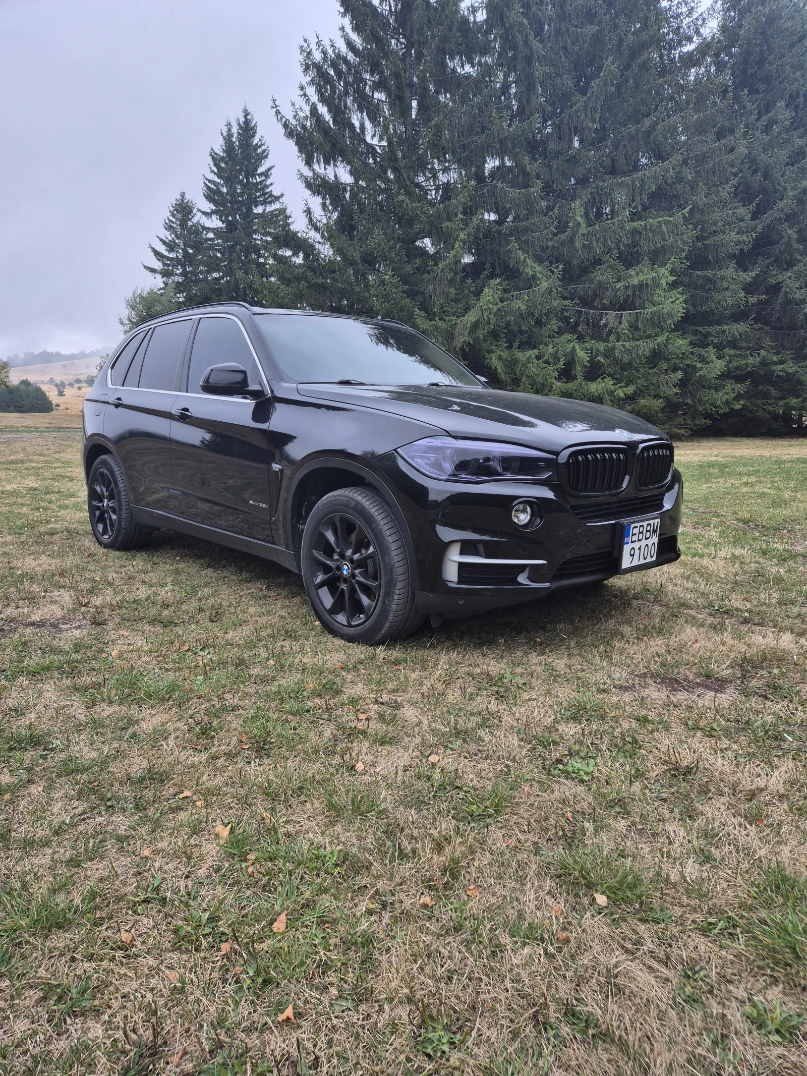 BMW X5, снимка 5 - Автомобили и джипове - 56233745