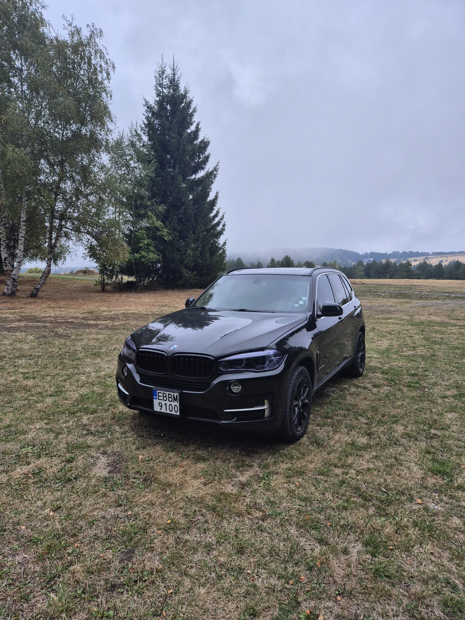 BMW X5, снимка 8 - Автомобили и джипове - 56233745