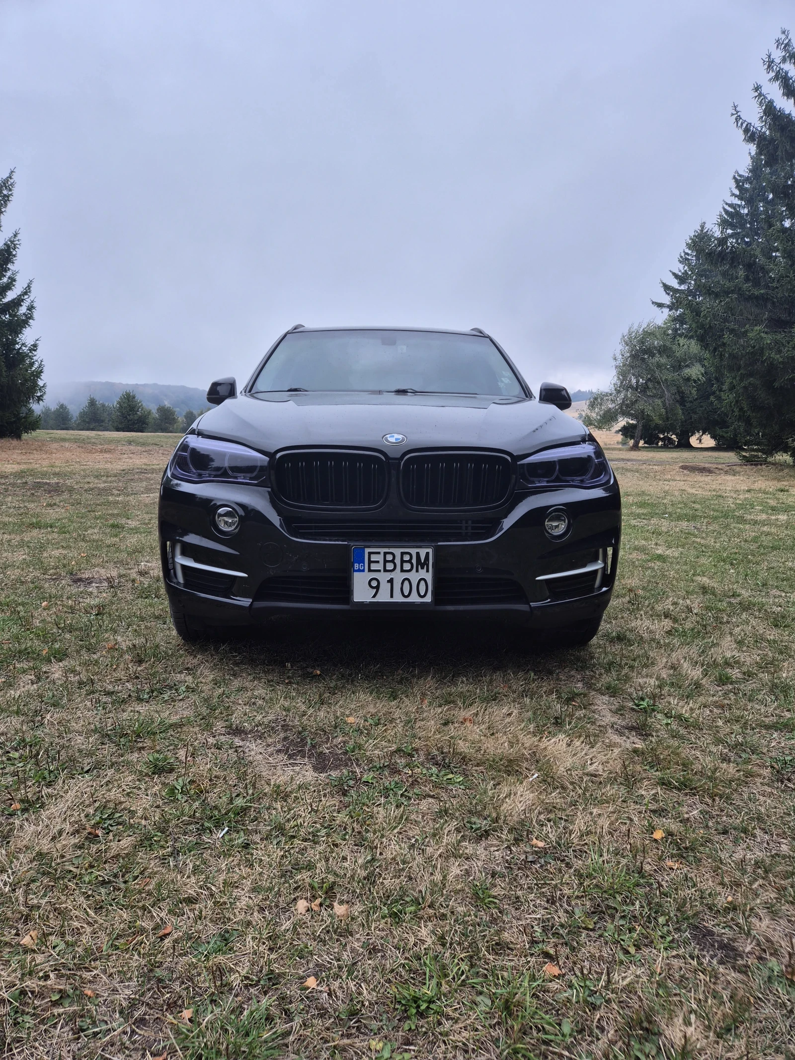 BMW X5, снимка 6 - Автомобили и джипове - 56233745