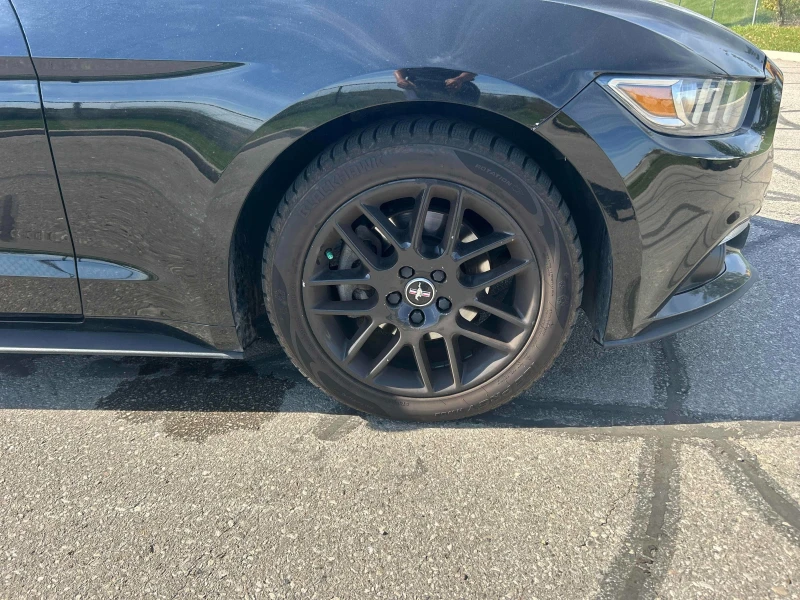 Ford Mustang 3.7* * V6* * АВТОКРЕДИТ* * CARFAX* * , снимка 6 - Автомобили и джипове - 52688661