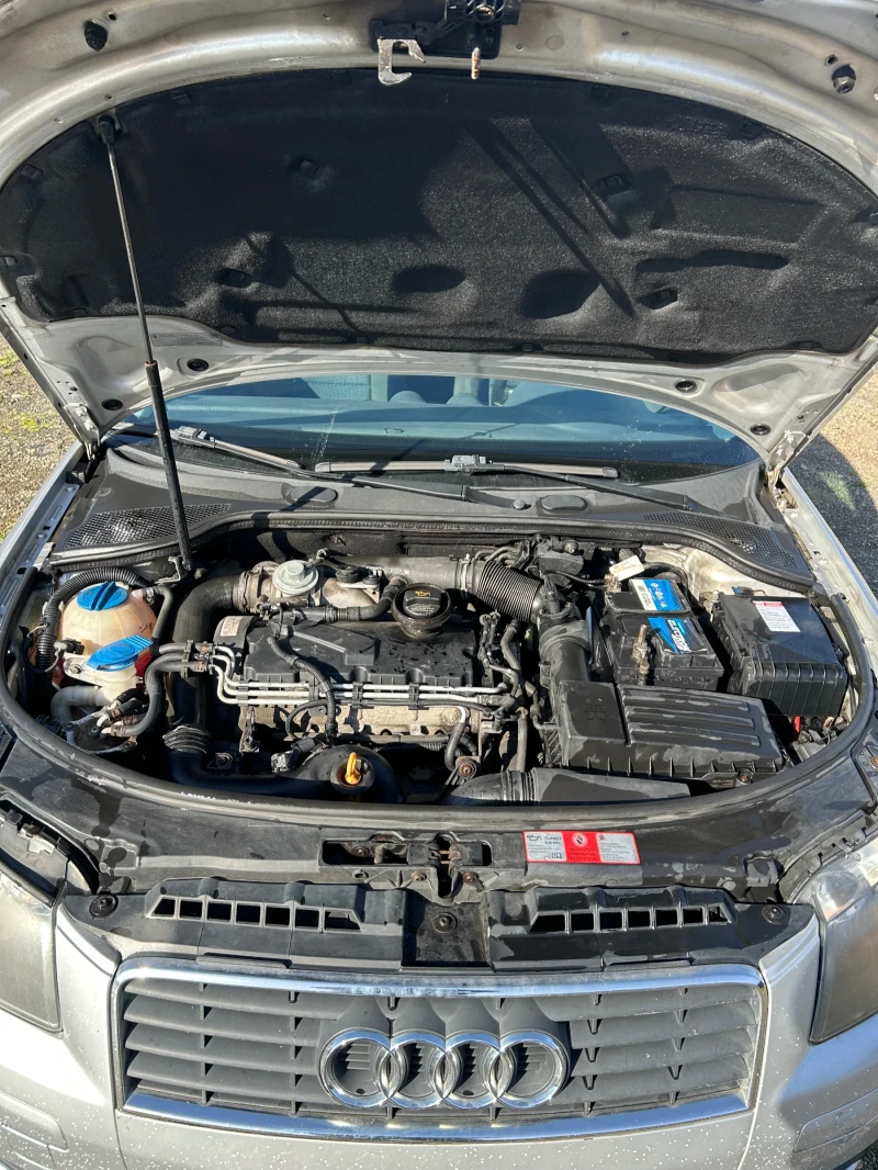 Audi A3 1.9tdi 105, снимка 7 - Автомобили и джипове - 53091020