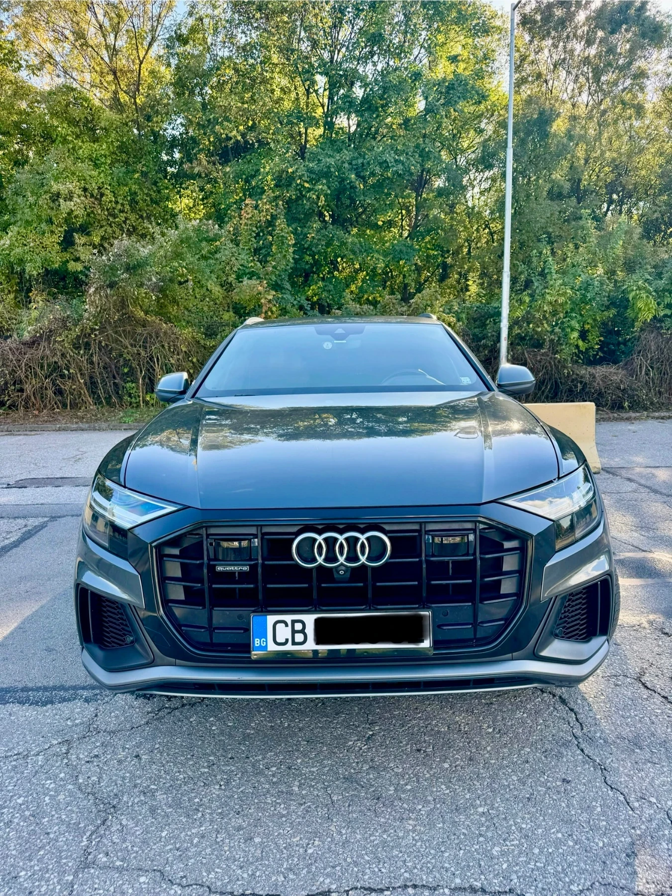 Audi Q8 55TFSI Sline Mild Hibrid* 360* дискт* Обдухв* пано - изображение 2