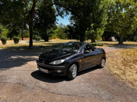     Peugeot 206 206