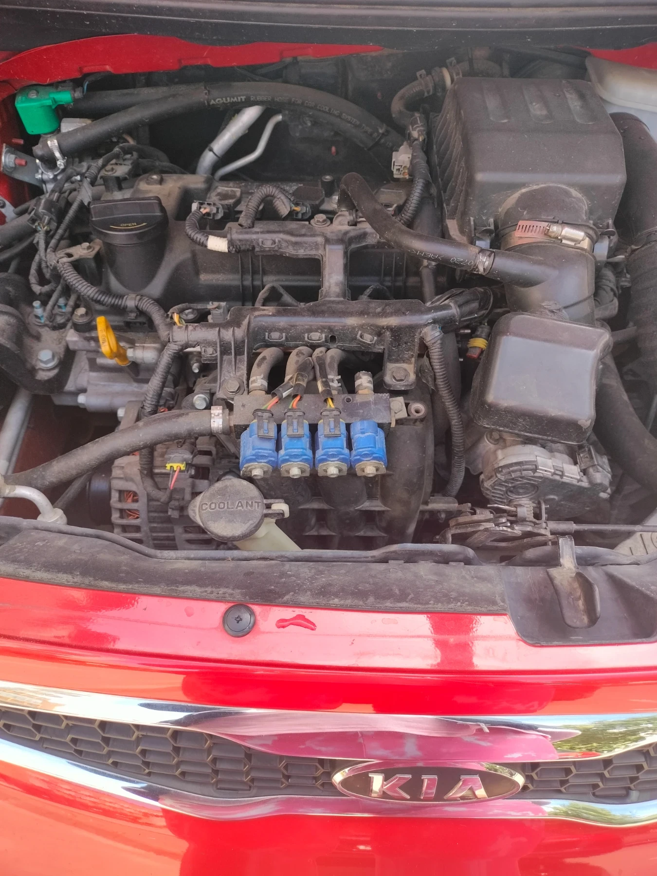 Kia Picanto  - изображение 9
