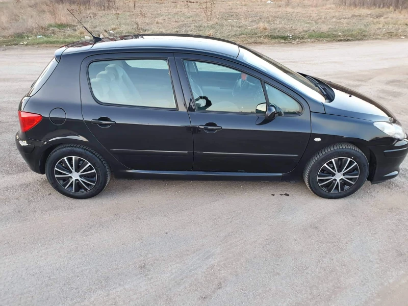 Peugeot 307 1.6 GAS, снимка 7 - Автомобили и джипове - 53205698