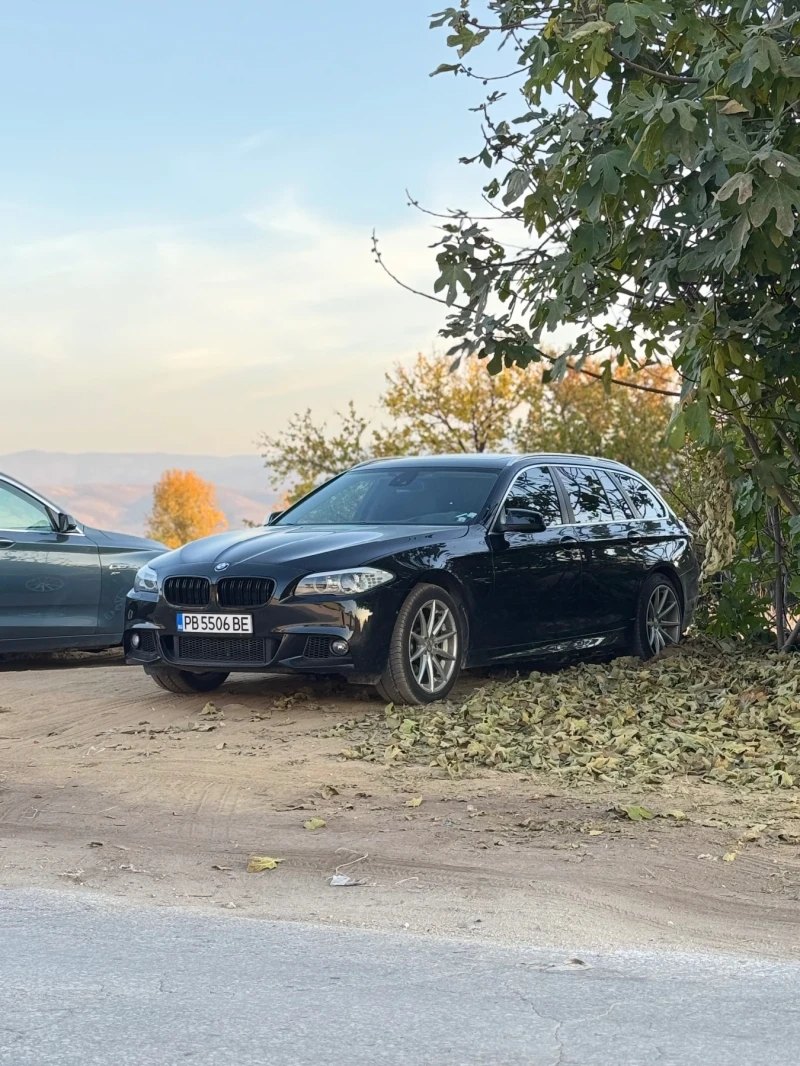 BMW 525, снимка 2 - Автомобили и джипове - 49181321