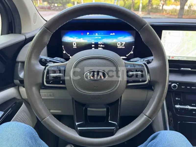 Kia Carnival, снимка 13 - Автомобили и джипове - 55031614