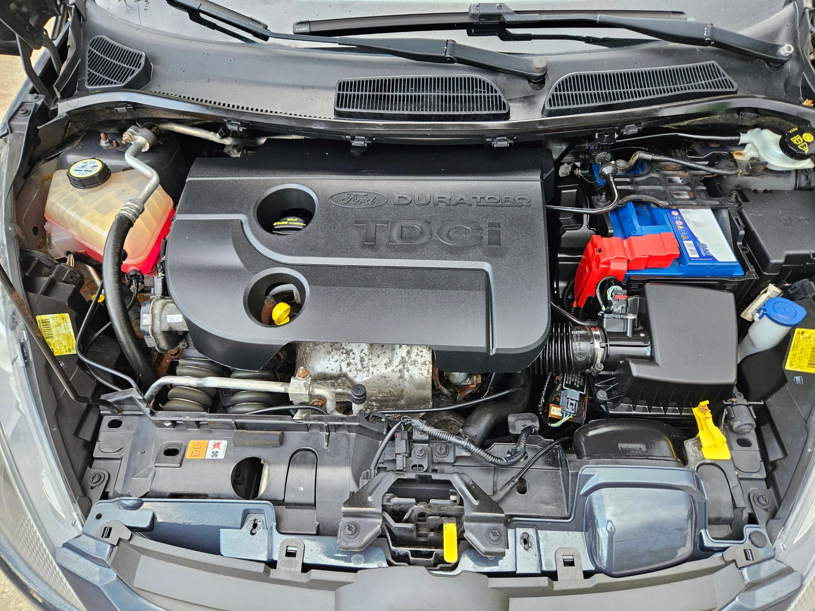 Ford Fiesta 1.6 TDCI, 95..,  5! | Mobile.bg   16