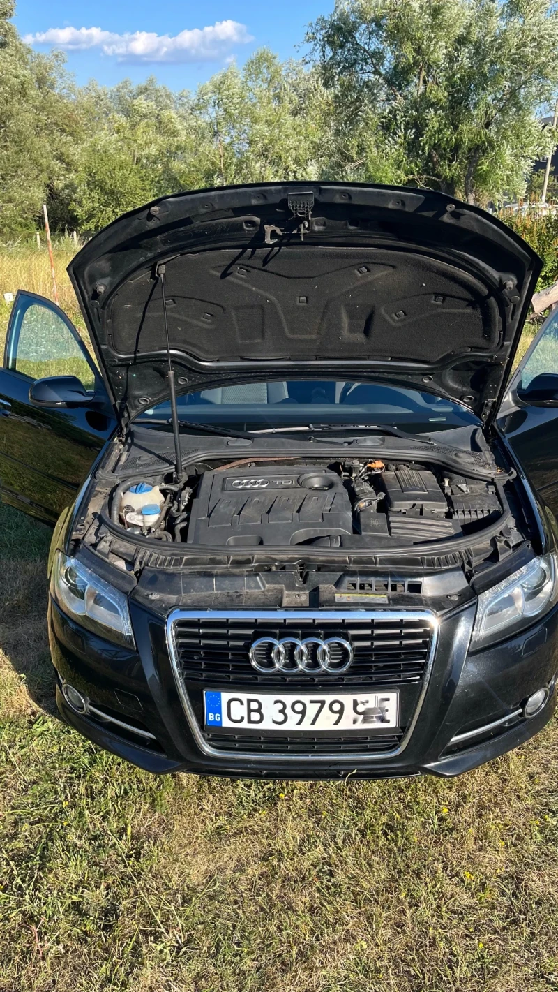 Audi A3 1.6TDI, снимка 5 - Автомобили и джипове - 46984584