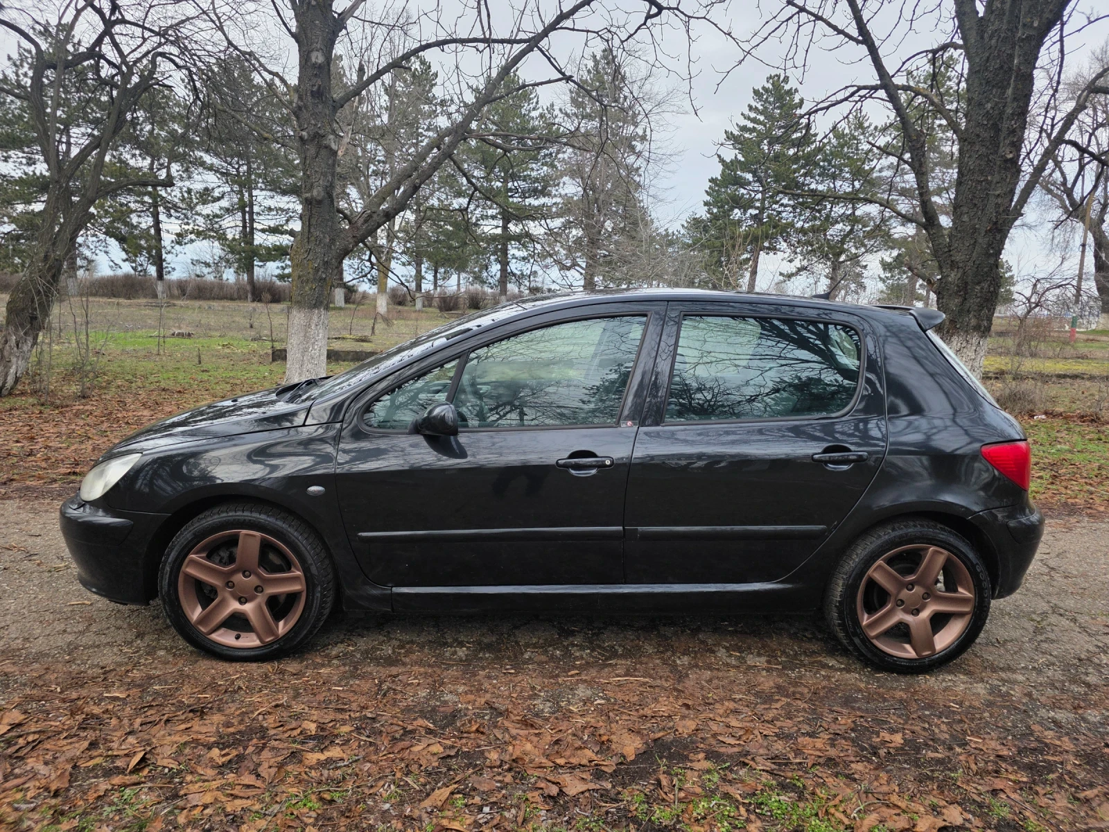 Peugeot 307 | Mobile.bg � ����������� 8