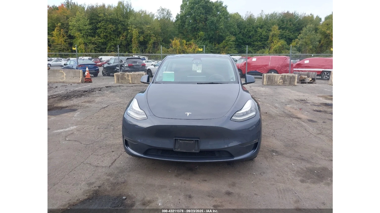 Tesla Model Y Long range 4x4 - изображение 8